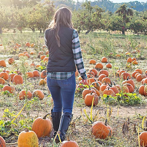 10 Fall Activities for College Students Looking for Fun