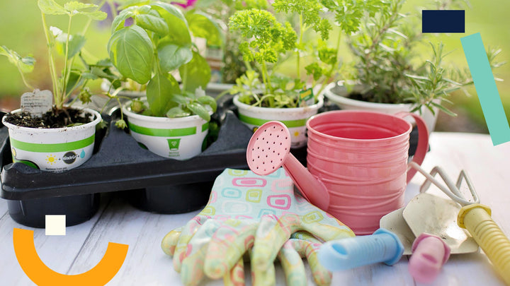 Get excited about gardening