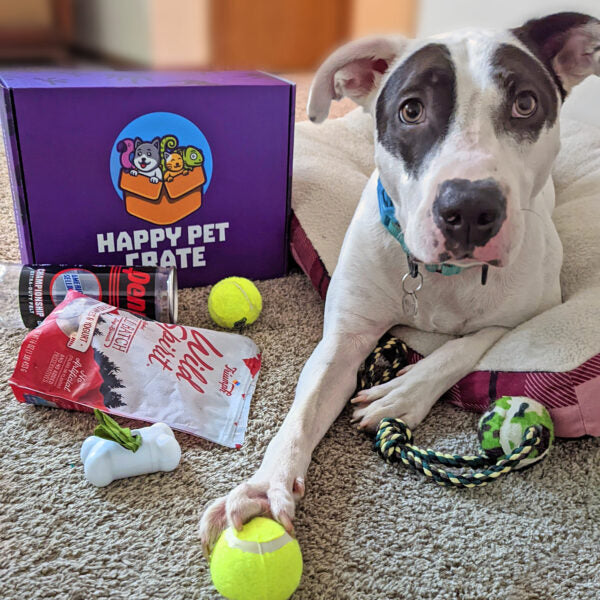 Good Dog Gift Box