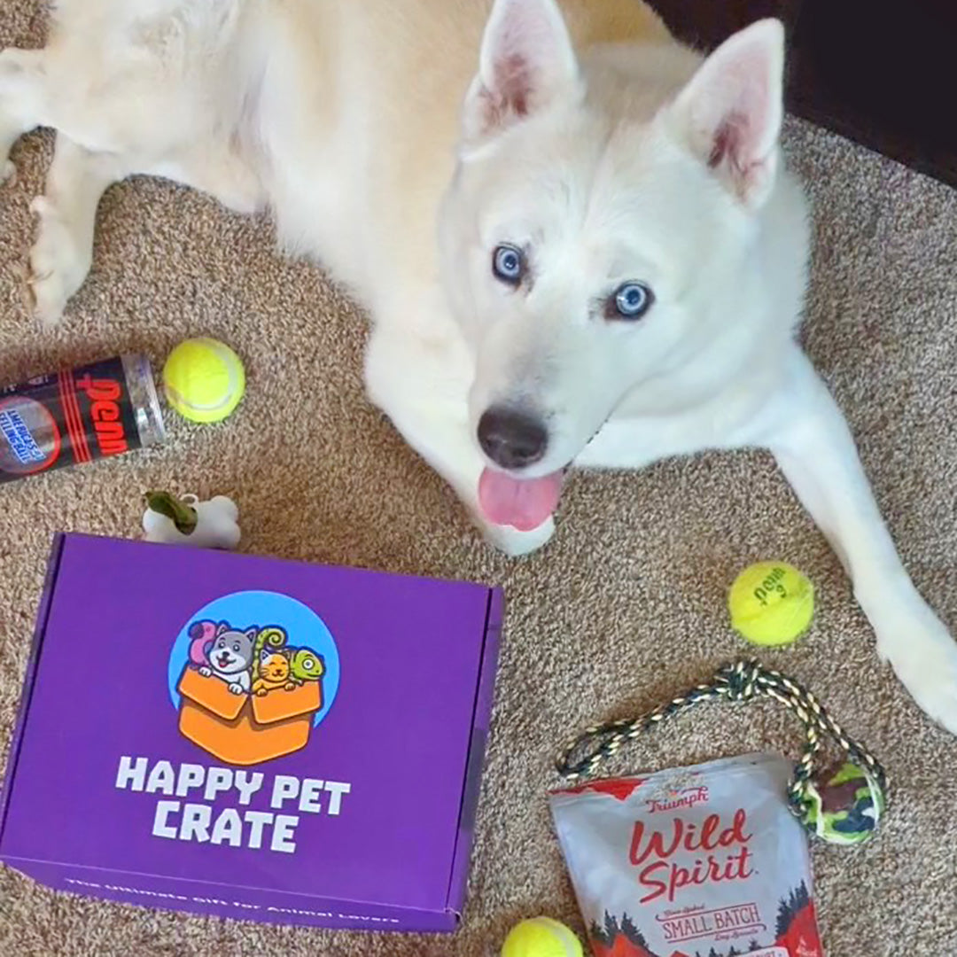 Good Dog Gift Box