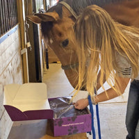 Happy Horse Gift Box